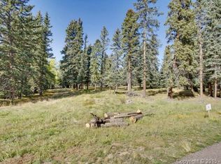 102 Owl Nest Hts, Divide, CO 80814