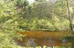 RIVER