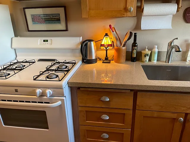 Propane Gas Stove