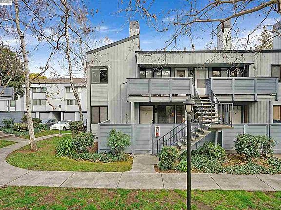 3rd image of 4815 Pine Forest Pl