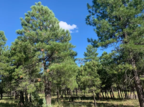 2391 Woody Pine Dr, Happy Jack, AZ 86024