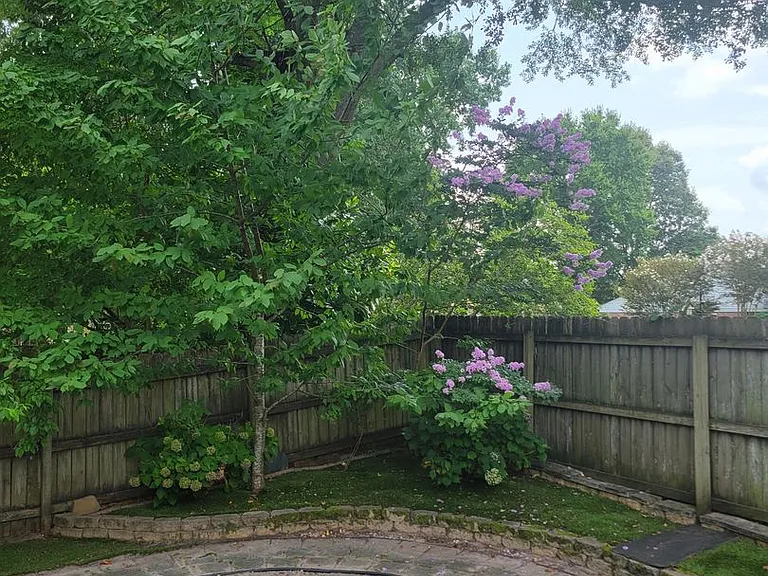 5409 Branchwood Way — Photo 26