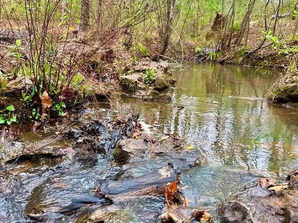 Township Road 6 Hwy #21E, Hemphill, TX 75948