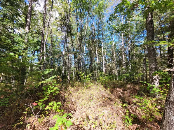 Acorn Ridge Hwy, Millersburg, MI 49759