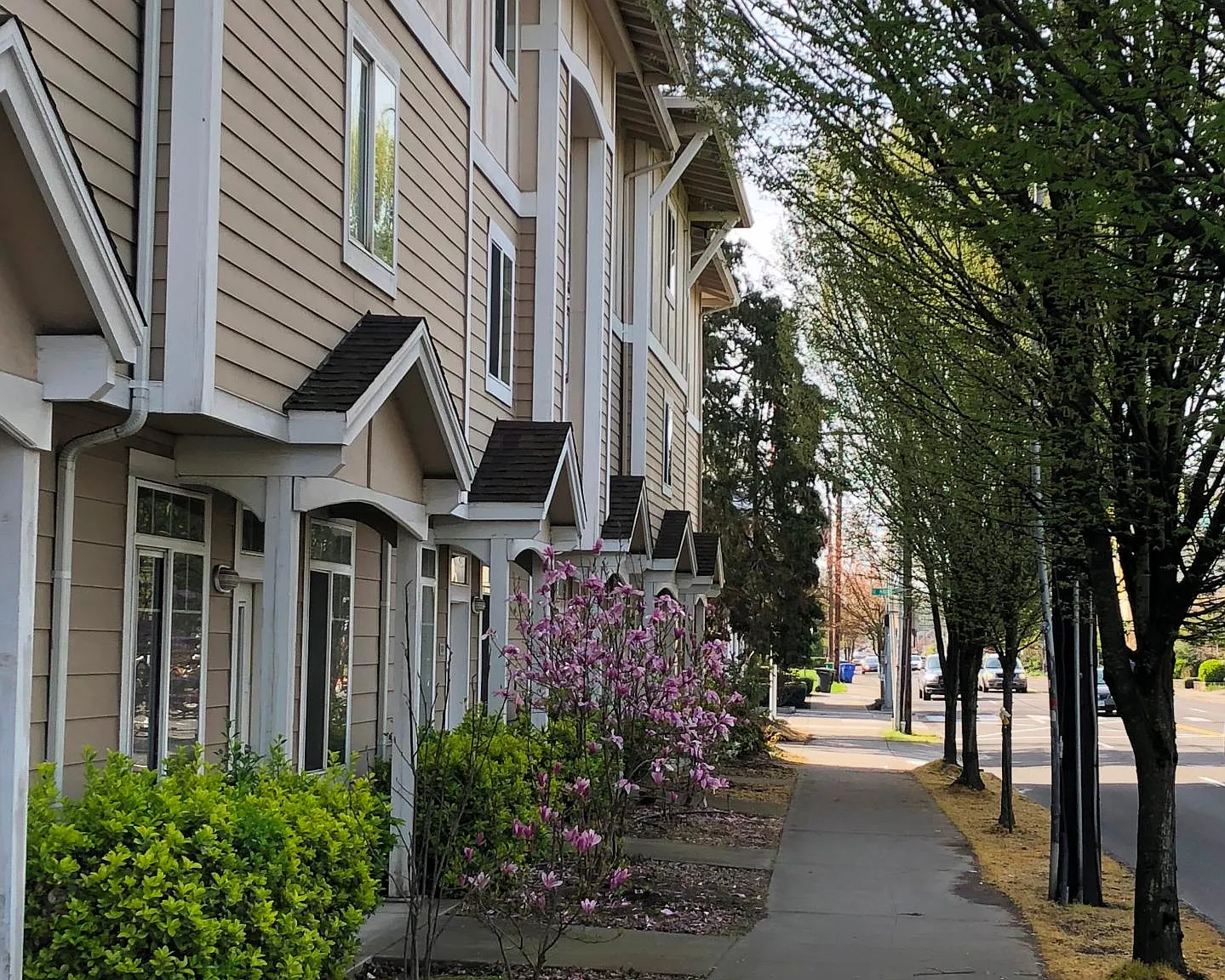 Cedarhurst Village — Photo 4
