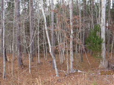 0 Farmer Johns Trl, Rutherfordton, NC, 28139