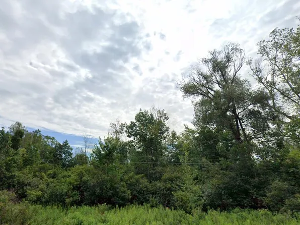 8421 Old Mill Dr, Pinckney, MI 48169