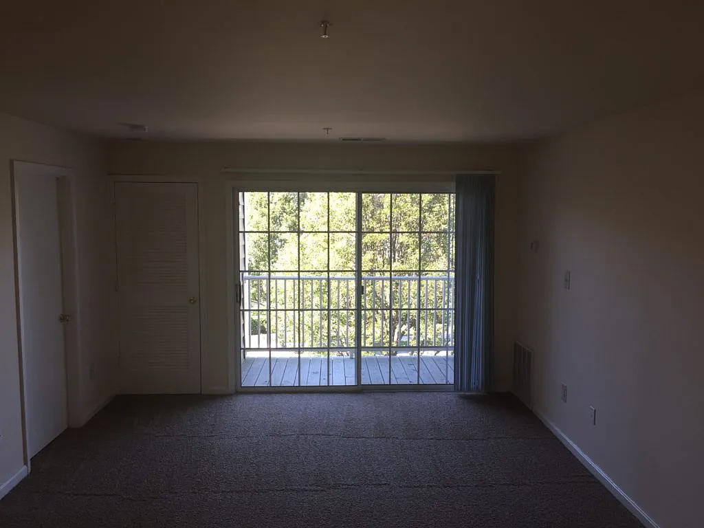 2 bed, 1050 sqft, $1,797 — Photo 4