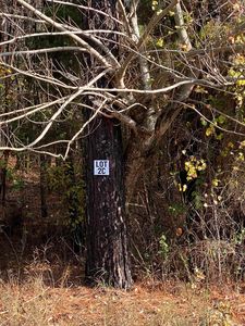 2C Highway 89, Cabot, AR, 72023