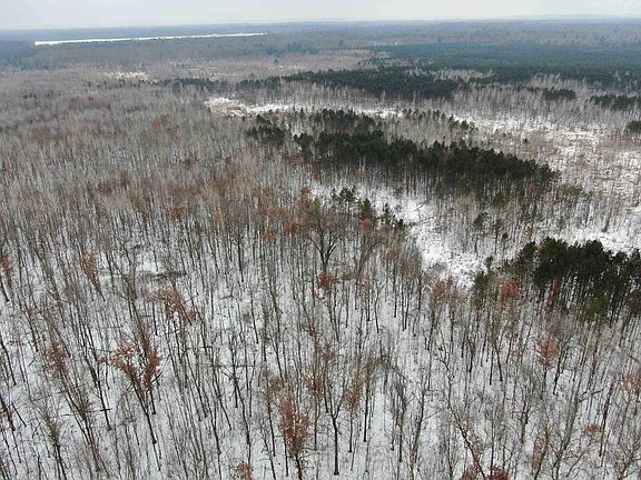 4th image of 81.64 AC 28th St Acres