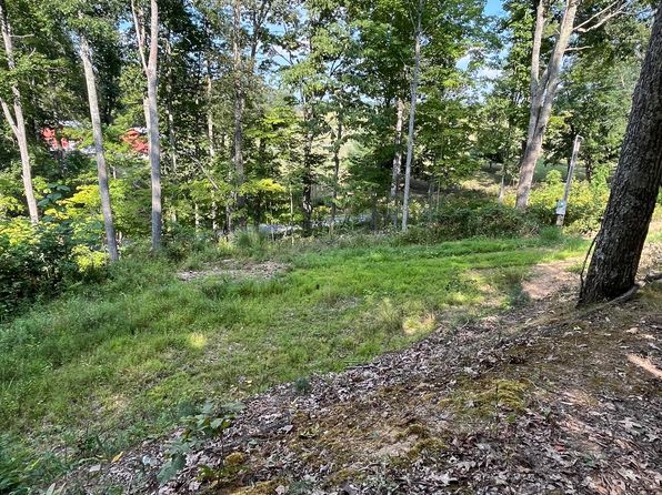 LOT 4 Ellison Ridge Rd, Jumping Branch, WV 25969