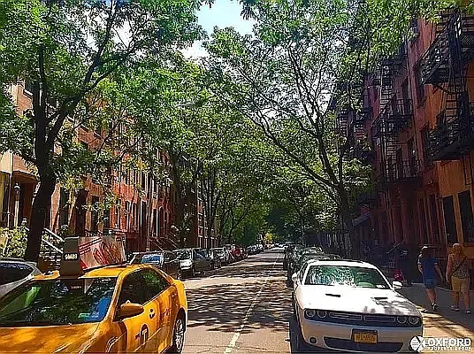 Rented by Oxford Property Group | media 48