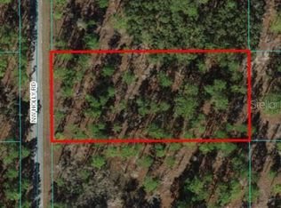 LOT 22 NW Holly Rd #1, Dunnellon, FL 34431
