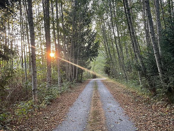 The driveway is through the forest and the home is at the very end.