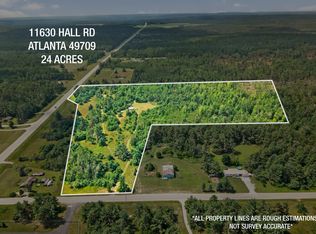 11630 Hall Rd, Atlanta, MI 49709