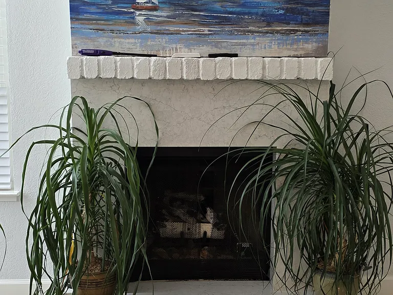 Living Room with Gas Fireplace