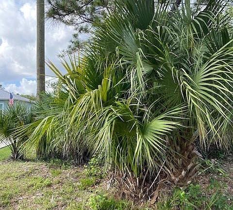 2nd image of 7711 Silver Oaks Drive