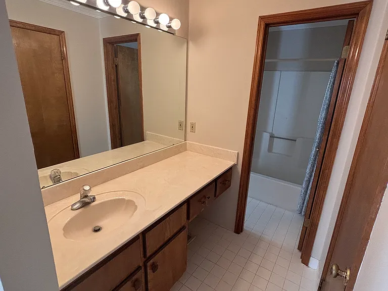 Master Suite bathroom (second sink)