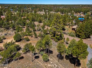 2795 Skyhawk Dr, Overgaard, AZ 85933