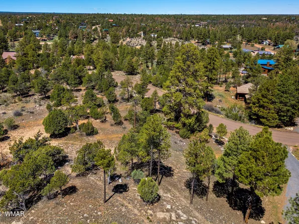 2795 Skyhawk Dr, Overgaard, AZ 85933