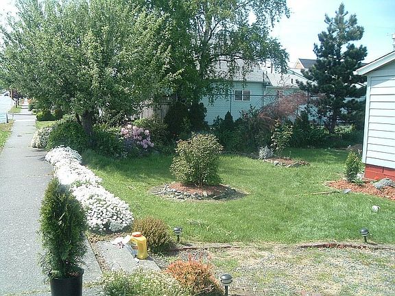 Front Yard w/Apple Tree