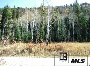 3173 Aspen Wood Dr, Steamboat Springs, CO 80487