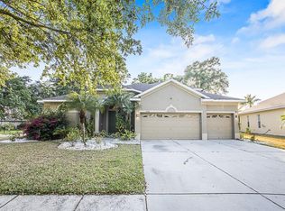 1602 Brilliant Cut Way, Valrico, FL 33594