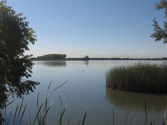 200 Acres of Water at Your Back Door