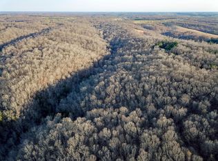 2552 State Highway V, Stella, MO 64867