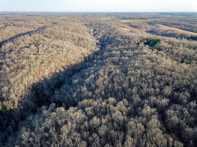 2552 State Highway V, Stella, MO, 64867