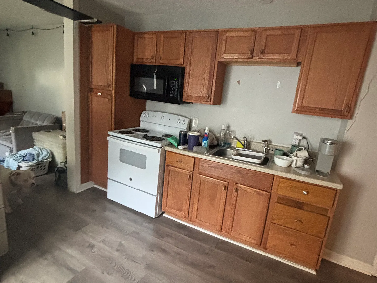 1 bed, 562 sqft, $775 — Photo 4