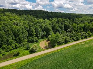 Otis Smith Rd, Fillmore, NY 14735