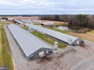 5926 Eldorado Rd, Rhodesdale, MD 21659