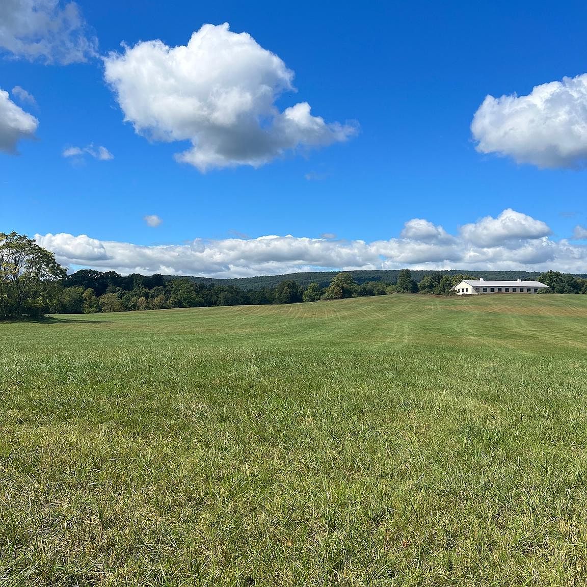 35810 Bell Rd, Round Hill, VA 20141 MLS VALO2058036 Zillow