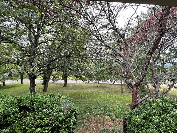 Frontyard (view from front porch)