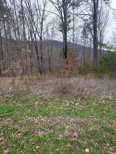 2nd image of 13 Hazel Dr
