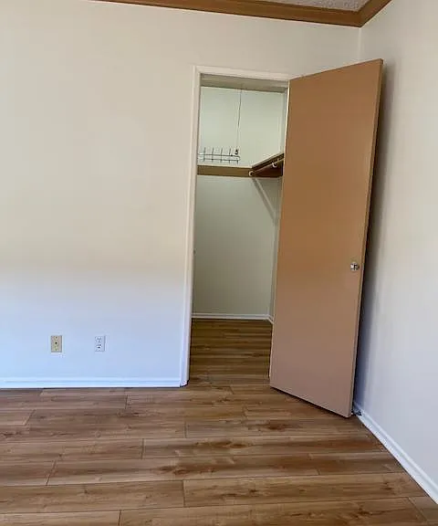 2501 Ocean Ave #LOWER — Photo 7