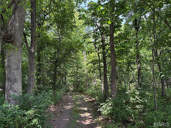 5th image of 671 Birkhead Rd