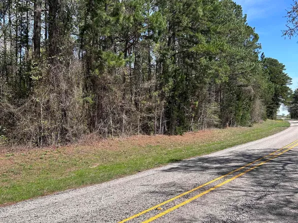 TRACT 2 Fm 1798 W, Laneville, TX 75667