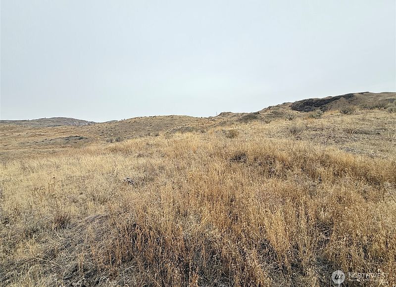 4th image of 161 Weatherstone Rd