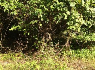 Iron Gate Dr, White pine, TN 37890