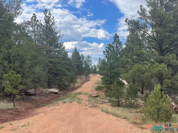 395 Coyote Rd, Mora, NM 87732