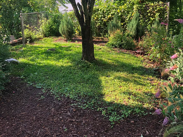1012 Fairmount Ave — Photo 12