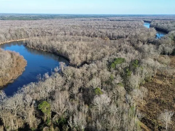 0 E Myrtle Beach Hwy Tract 1, Johnsonville, SC 29555