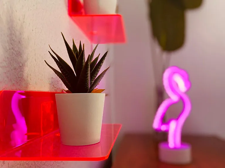 The *actual* neon flamingo