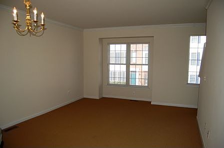 DINING & LIVING ROOM AREAS