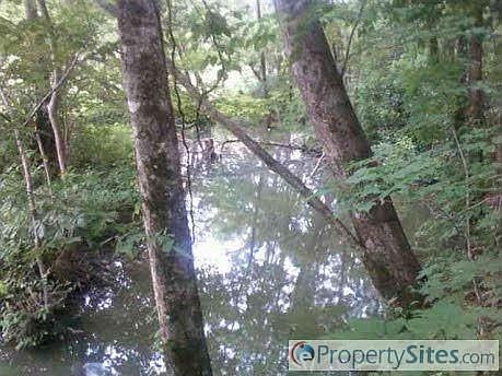 2nd image of 10636 Pine Hill Rd