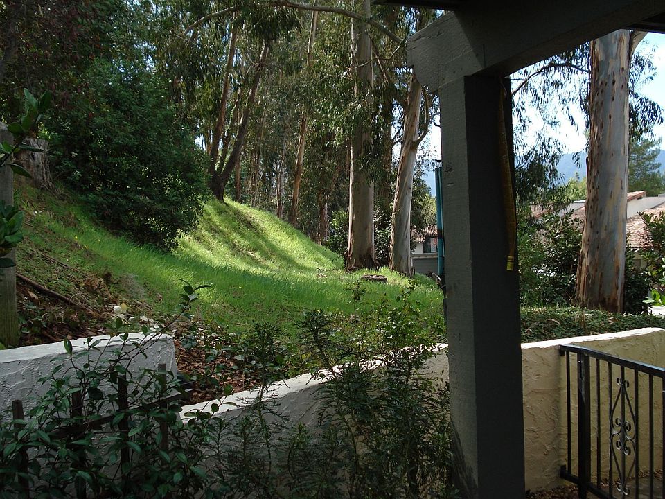 View from back patio