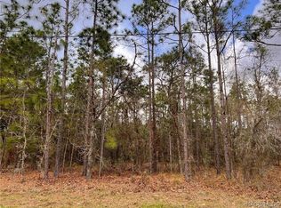 72 Whitewood St, Homosassa, FL 34446