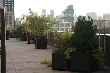 Rented by Manhattan Flats